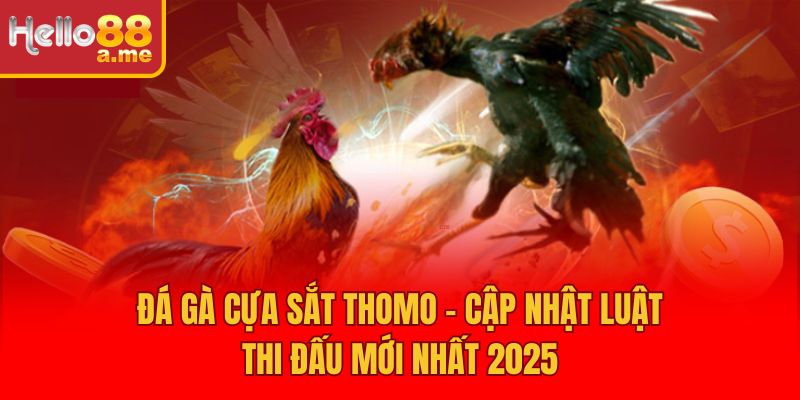 Đá Gà Cựa Sắt Thomo – Cập Nhật Luật Thi Đấu Mới Nhất 2025