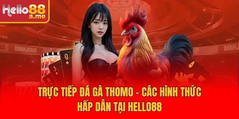 Trực Tiếp Đá Gà Thomo – Các Hình Thức Hấp Dẫn Tại Hello88
